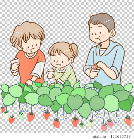 いちご狩りをする家族 121683718