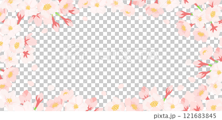 櫻花框白色背景|平面設計（向量素材複製空間橫幅） 121683845