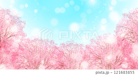 和柄　桜　春　背景 121683855
