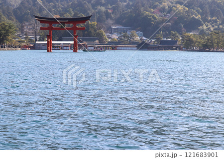 厳島神社　大鳥居　2025/1/1撮影 121683901