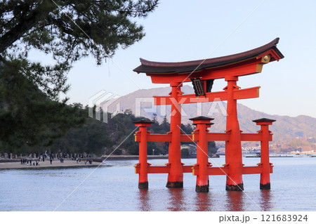 厳島神社 大鳥居 2025年1月1日撮影 厳島神社 大鳥居 2025年1月1日撮影 121683924