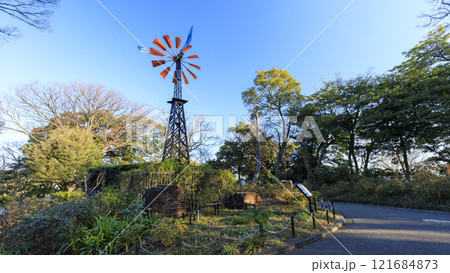 港の見える丘公園の冬 港の見える丘公園の冬 121684873