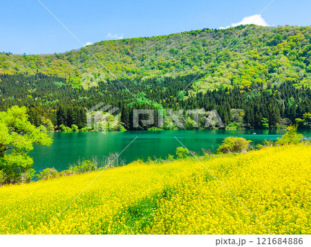春の北竜湖 春の北竜湖 121684886