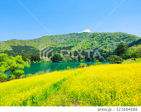 春の北竜湖 121684888