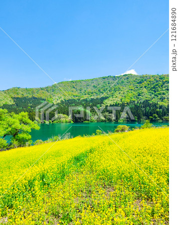 春の北竜湖 春の北竜湖 121684890