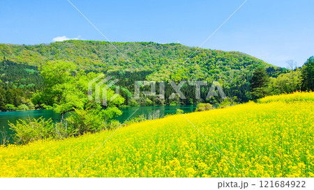 春の北竜湖 春の北竜湖 121684922