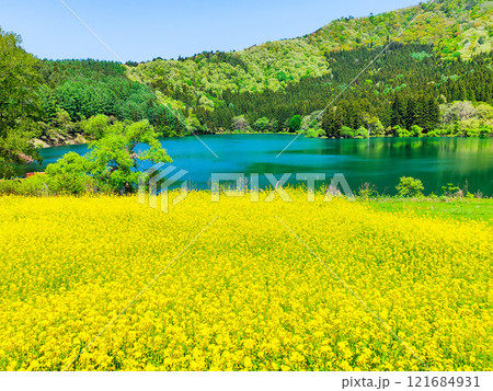 春の北竜湖 121684931