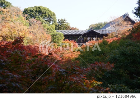 紅葉に包まれた秋の山寺 121684966