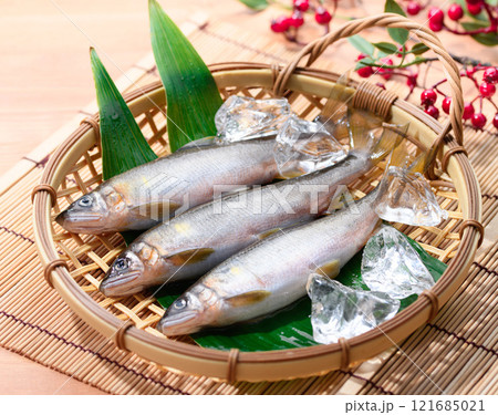 笊にのせた天然の鮎( 和歌山県 古座川産 天然アユ ) 郷土料理 笊にのせた天然の鮎( 和歌山県 古座川産 天然アユ ) 郷土料理 121685021