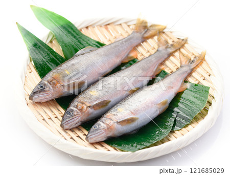笊にのせた天然の鮎（ 和歌山県 古座川産 天然アユ ） 郷土料理  121685029