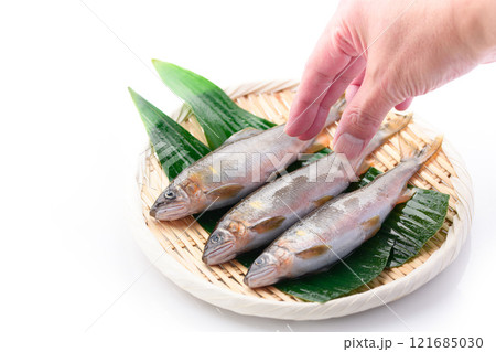 笊にのせた天然の鮎（ 和歌山県 古座川産 天然アユ ） 郷土料理  121685030