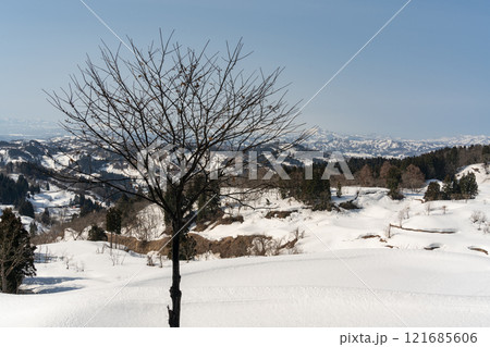 1本の立木と早春の山古志地域の風景 121685606