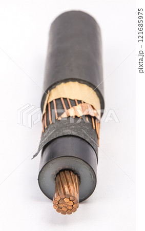 Cross section of high-voltage cable, polymer insulation  121685975