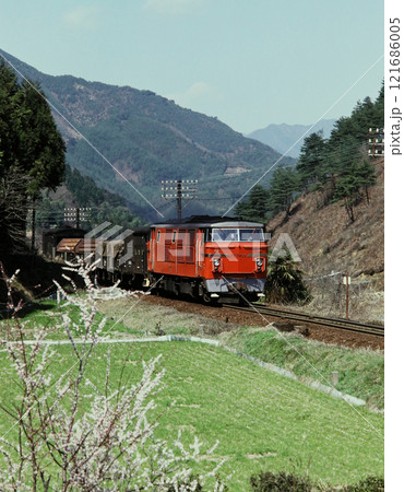 1977年　播但線生野峠を走るDD54の貨物列車 121686005