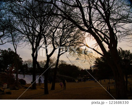 落葉の風景 落葉の風景 121686330