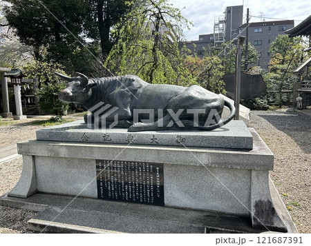 東京都調布市の神社、布多天神社の御神牛の像の全景です。 東京都調布市の神社、布多天神社の御神牛の像の全景です。 121687391