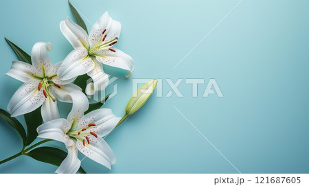 百合の花の背景素材02 百合の花の背景素材02 121687605