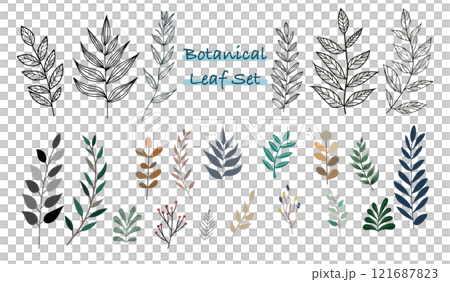 優しいタッチのボタニカルリーフのイラストセット 121687823