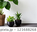 観葉植物のある部屋 121688268