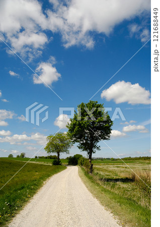 Pathway 121688449