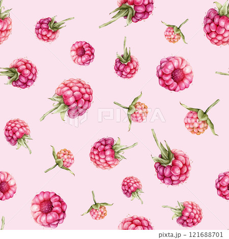 Watercolor seamless pattern with Raspberries and blackberries. Hand drawing illustration red berries. Graphic design element isolated on white background. 121688701