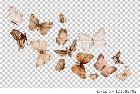 Butterflies Monarch and other flying on white background. Set of delicate cute beige brown butterflies. Hand drawn watercolor illustration on isolated white background. Template for print or frame. 121688702