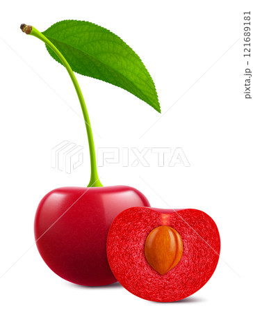 Ripe cherries with leaves isolated on a white background. Whole red cherry and half cherry with pit, realistic 3d vector illustration. Ripe of berries, glistening with vibrant hues. 121689181