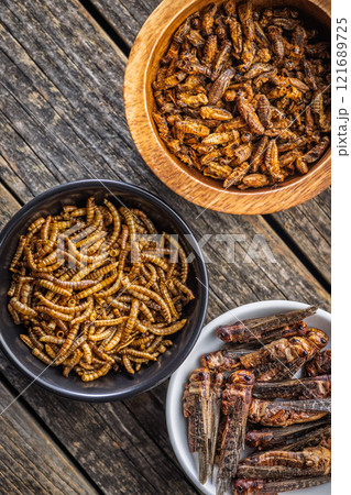 Dried salted insect. Mealworms, grasshoppers and crickets in bowl on wooden table. Top view. Dried salted insect. Mealworms, grasshoppers and crickets in bowl on wooden table. Top view. 121689725
