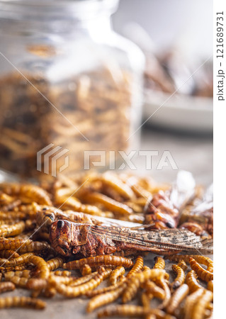 Dried salted insect. Roasted grasshoppers and meal worms on kitchen table. 121689731