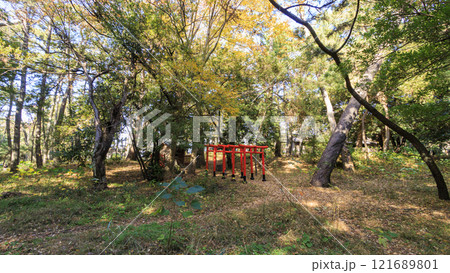 沼津御用邸記念公園の秋 沼津御用邸記念公園の秋 121689801