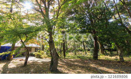 沼津御用邸記念公園の秋 沼津御用邸記念公園の秋 121689806