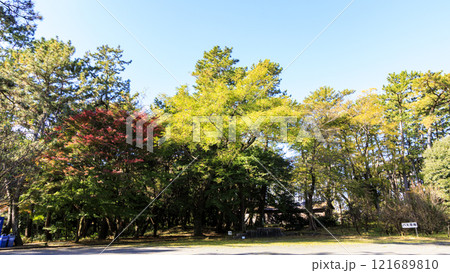 沼津御用邸記念公園の秋 121689810