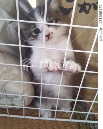 あ〜そ〜ぼ！ 121690172