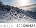 雪の斜面に立つ冬の木立 121690428