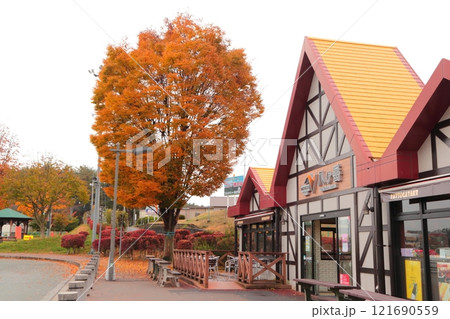 紅葉の中央自動車道八ヶ岳サービスエリア 121690559