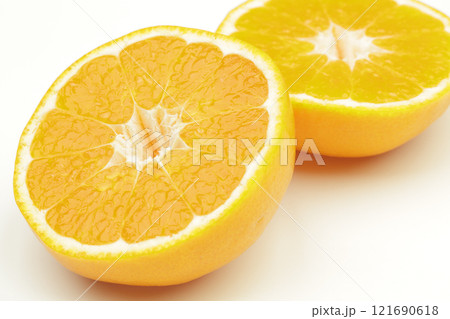 みかん はれひめ みかん はれひめ 121690618