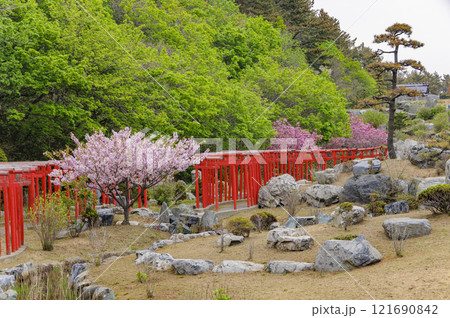 青森　津軽　高山稲荷神社の千本鳥居 121690842