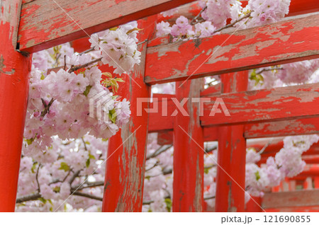 青森　津軽　高山稲荷神社の千本鳥居 121690855