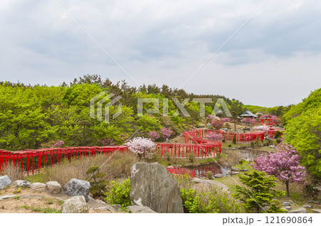 青森 津軽 高山稲荷神社の千本鳥居 青森 津軽 高山稲荷神社の千本鳥居 121690864