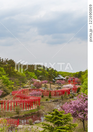 青森 津軽 高山稲荷神社の千本鳥居 青森 津軽 高山稲荷神社の千本鳥居 121690869