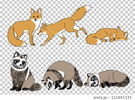 いろいろなポーズのキツネとタヌキのイラスト 121691335
