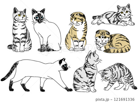 いろいろなポーズの猫のイラスト いろいろなポーズの猫のイラスト 121691336