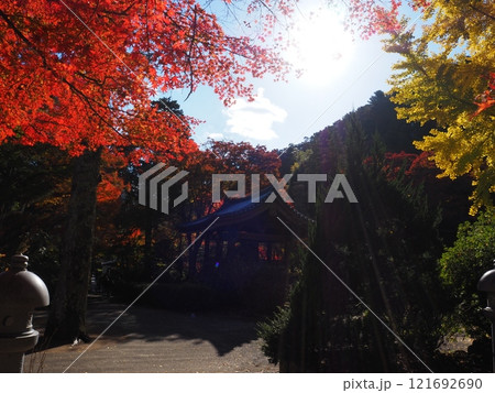 大阪府 久安寺の紅葉 大阪府 久安寺の紅葉 121692690