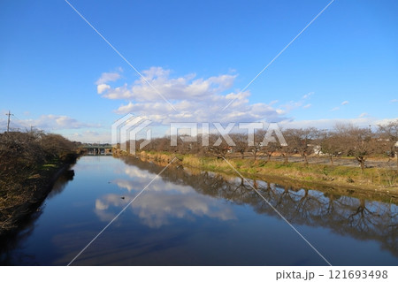 冬の埼玉県蓮田市に架かる宮前橋から望む元荒川の景色 121693498