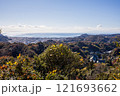 天園ハイキングコースから鎌倉の街並み 121693662