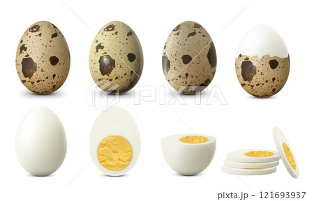 Boiled quail egg eggs isolated on white background. Textured Whole, Cracked Broken, half peeled, Peeled Boiled Egg, Hard-Boiled Egg With Yolk. Whole, Cut in Half Egg, Front View. Realistic 3d Vector Boiled quail egg eggs isolated on white background. Textured Whole, Cracked Broken, half peeled, Peeled Boiled Egg, Hard-Boiled Egg With Yolk. Whole, Cut in Half Egg, Front View. Realistic 3d Vector 121693937