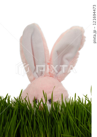Easter bunny Easter bunny 121694473