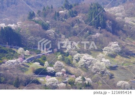春の安曇野・陸郷桜仙峡 121695414