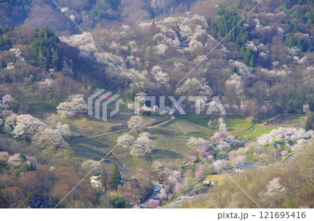 春の安曇野・陸郷桜仙峡 121695416
