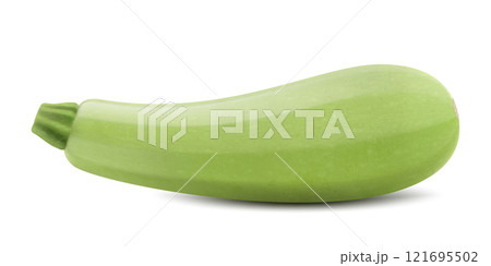 Fresh zucchini isolated on background. Squash whole. Fresh vegetable marrow isolated. Oblong, green squash. Vegetable marrow courgette or zucchini. Realistic 3d vector 121695502